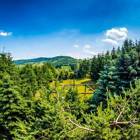 Agroturystyka Kapellanka - Kraina Wygasłych Wulkanów Wojcieszów Exterior foto